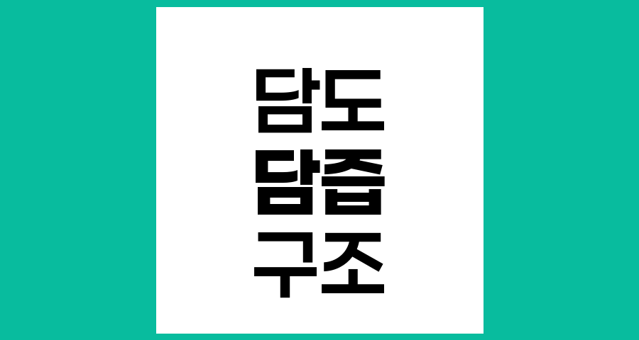 담도의 구조와 기능, 담즙의 이동 통로 이해하기