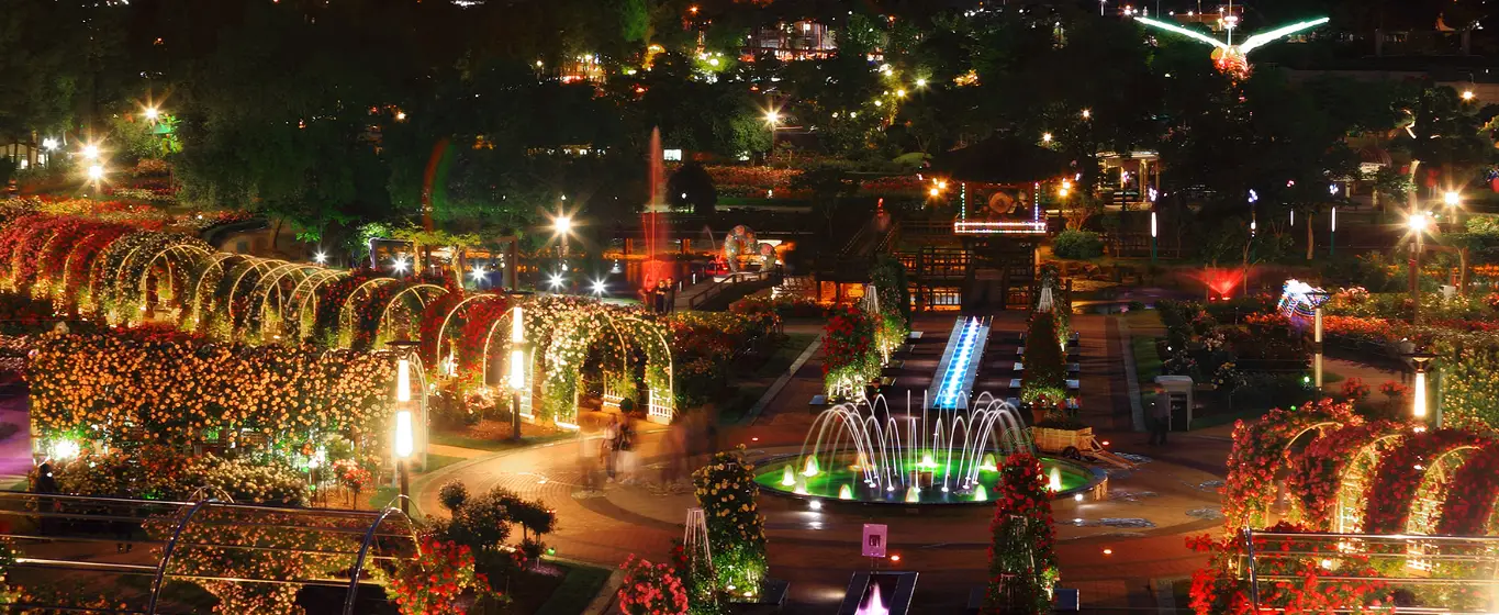 곡성 장미축제 야경사진