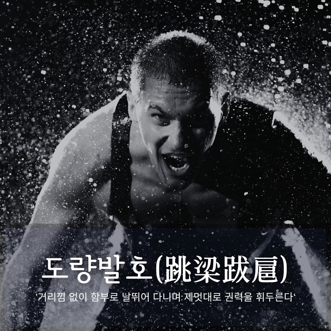 교수신문, 2024년 올해의 사자성어 '도량발호(跳梁跋扈)' 선정