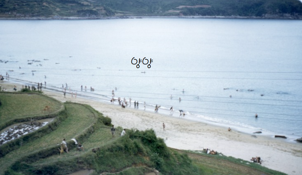 양양
