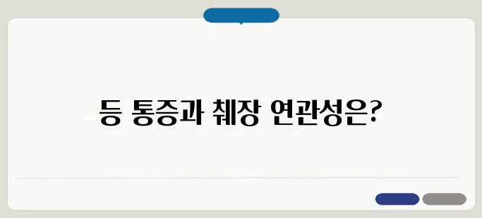 등 가운데 통증, 췌장 건강과의 관계