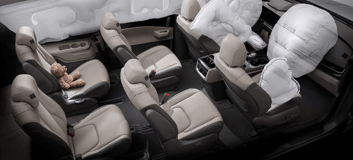 카니발 하이브리드