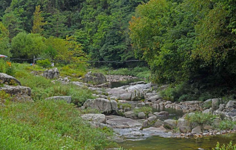 평창 흥정계곡: 가족 피서의 성지