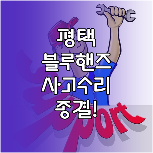 평택 블루핸즈 지점별 특징과 사고 수..