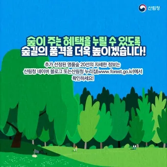 걷기좋은 명품 숲길 30선 숨겨진 코스_12