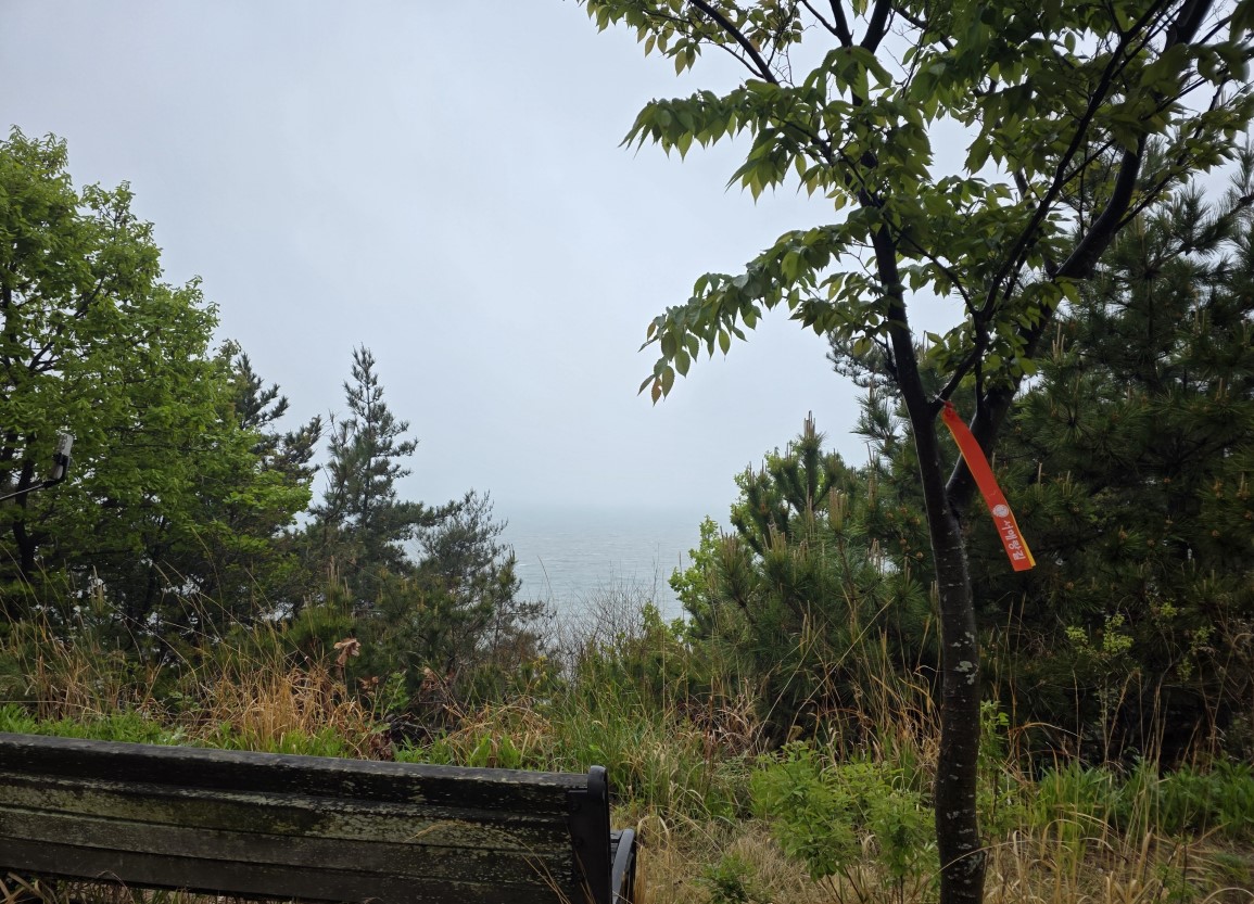 태안 서해랑길 완주 원정대 73코스