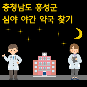 충남 홍성군 심야 야간 약국 찾기