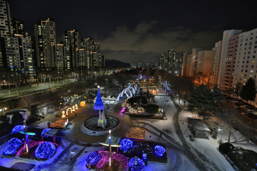 과천 반려견 겨울 나들이 명소, 강아지와 함께 걷기 좋은 산책 코스