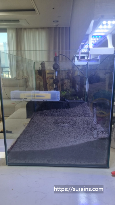 수초어항 꾸미기 준비물 레이아웃 만들기 정보