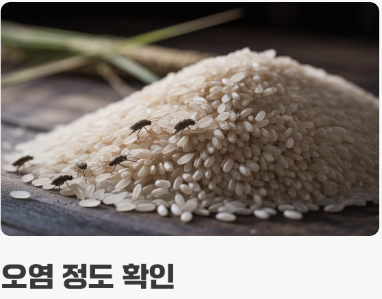 쌀벌레 생긴 쌀, 어떻게 할까?
