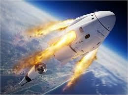 트럼프 머스크 협력