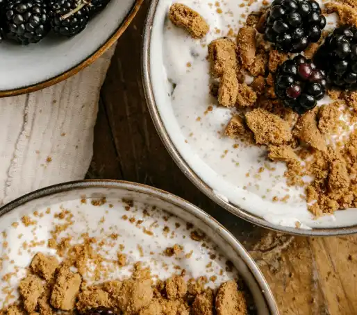 프리바이오틱스