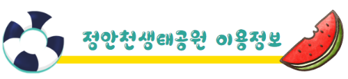 여름국내여행지