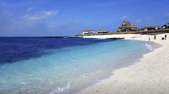 우도-3월-제주도-가볼만한곳