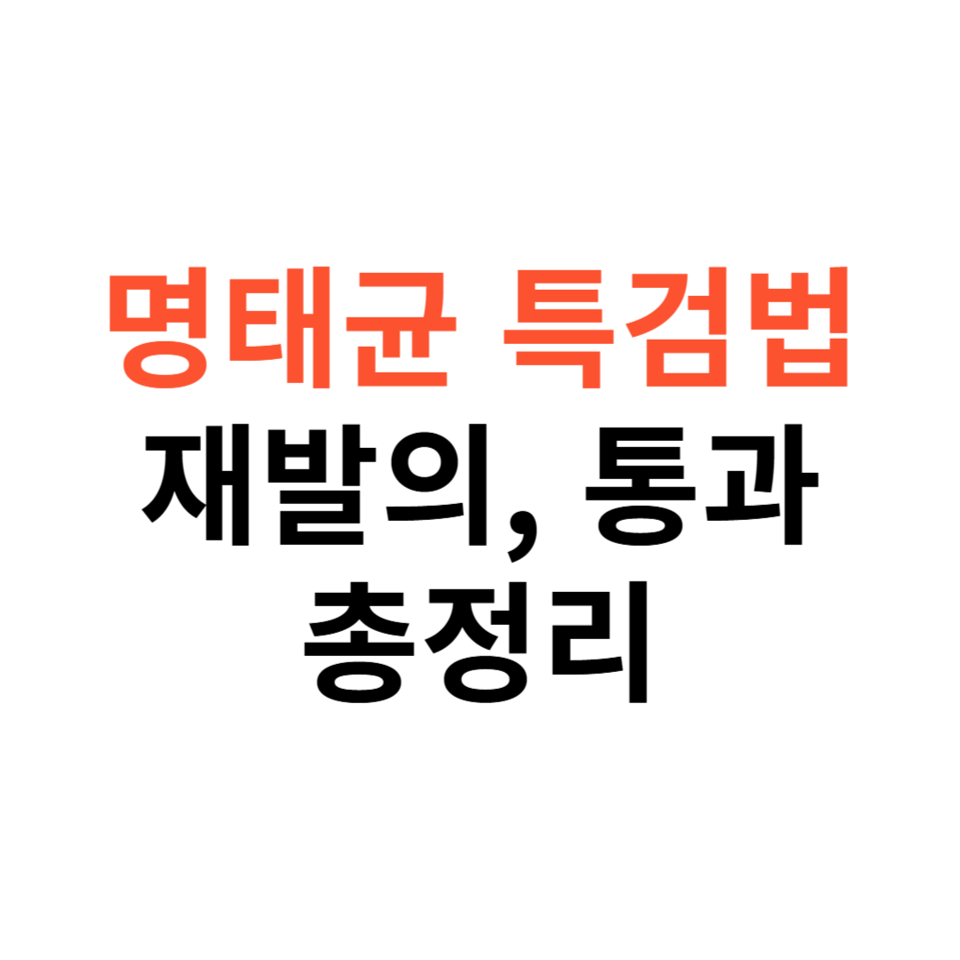 명태균 특검법