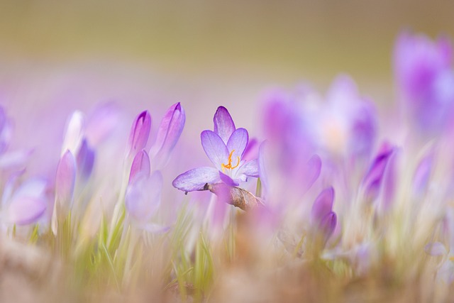 전기·가스 줄이면 돈이 쌓인다! 탄소중립포인트 100% 활용법