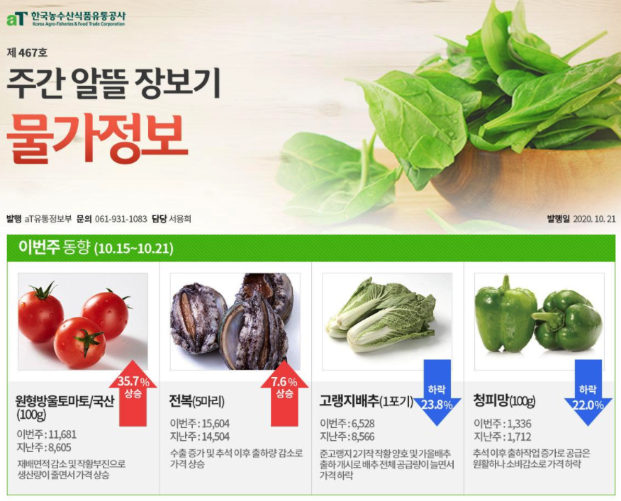 김장준비 배추 가격 시세 조회하는 방법