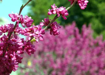 손자병법 작전편 전쟁 국력 역사_3