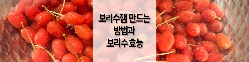 보리수잼_만드는_방법과_보리수_효능_섬네일