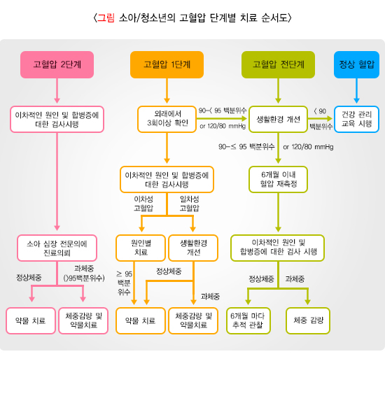소아고혈압, 어린이고혈압증상, 소아비만, 어린이혈압정상수치, 자녀건강관리, 고혈압치료