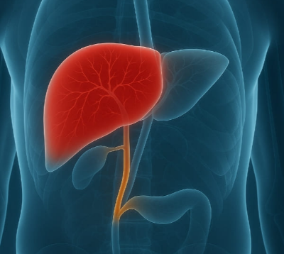 담도암 이란, 증상과 생존율은?