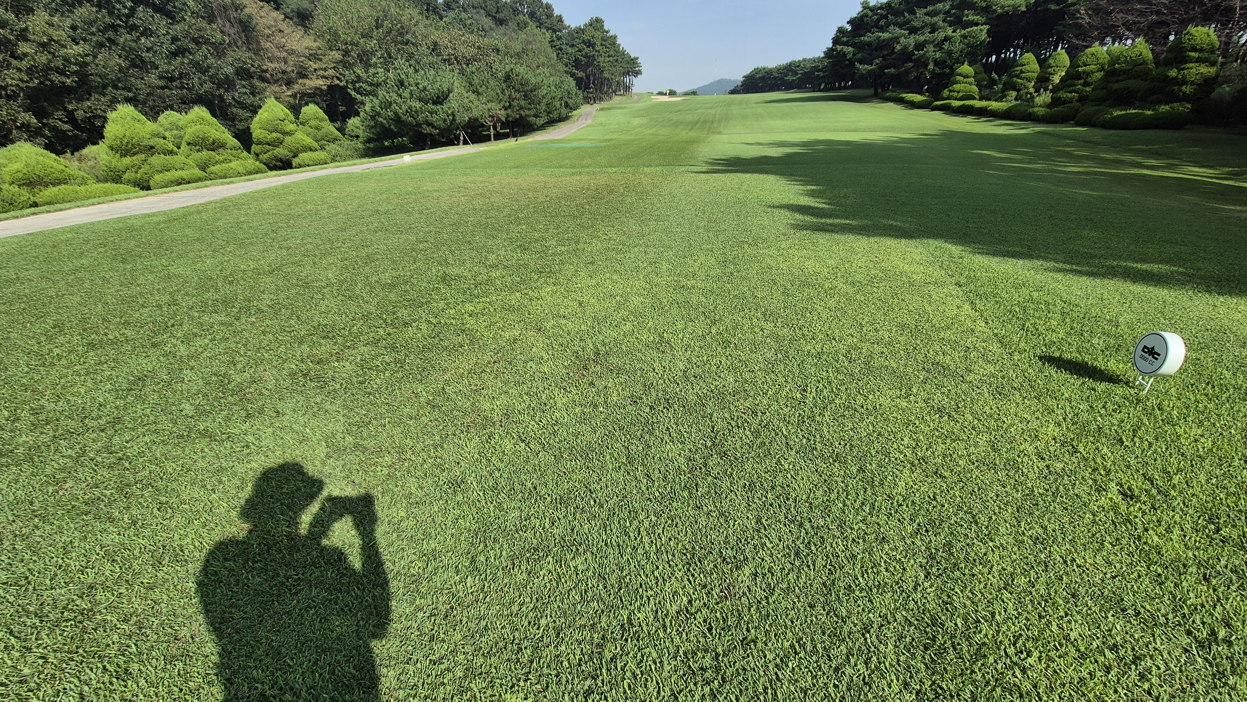 도고cc 티잉구역상태