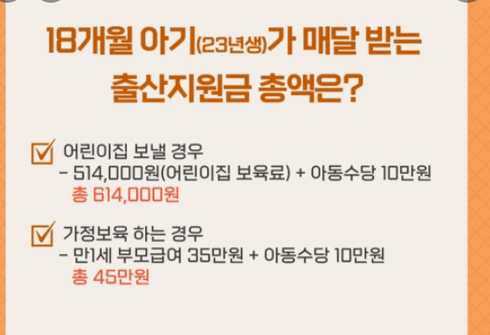 2024년 출산혜택 신청 지급 사용처 방법