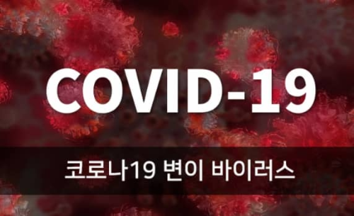 코로나 변이 이미지