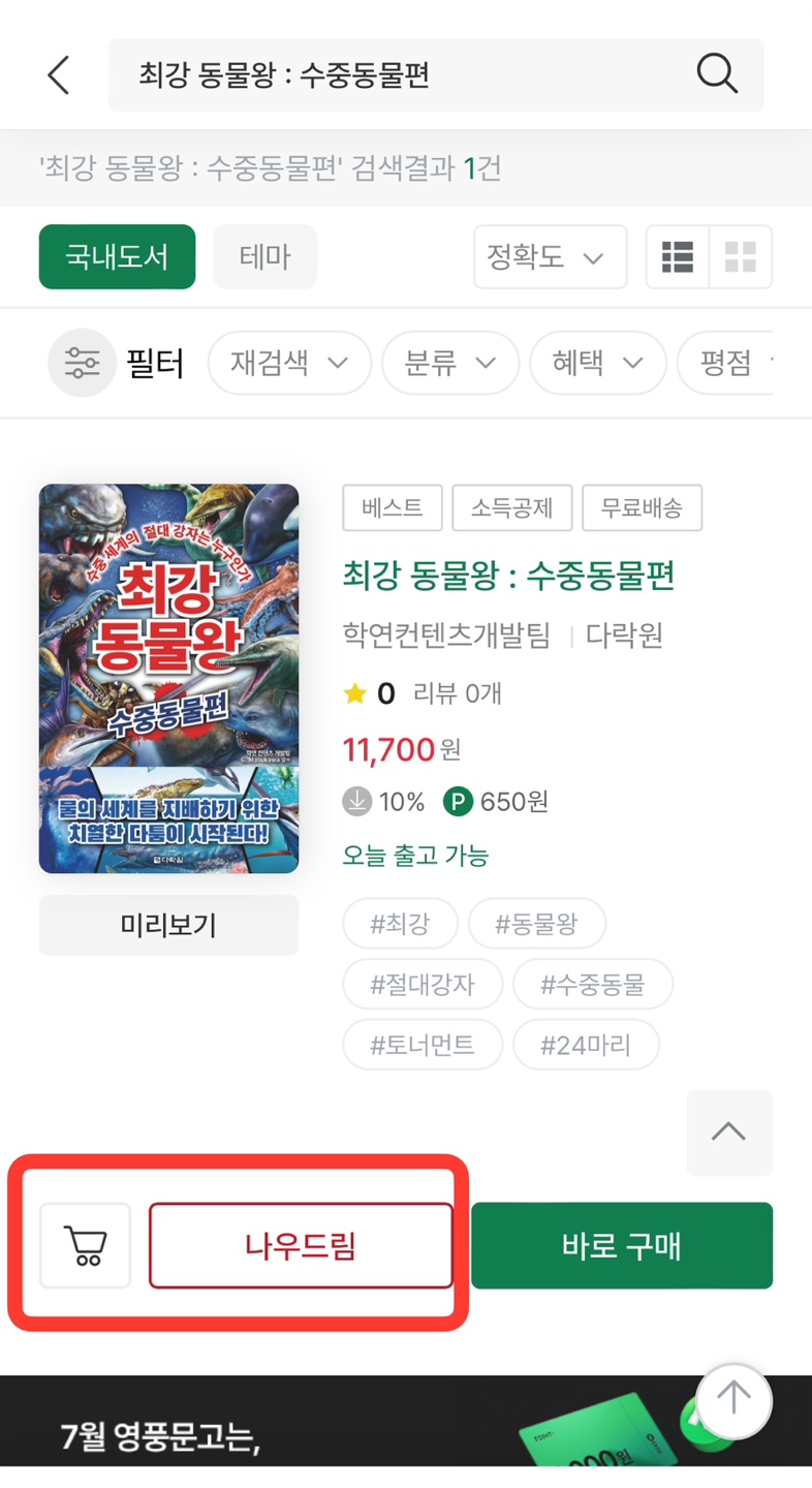 나우드림