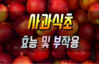 사과식초 효능_18