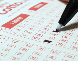 제주 로또 1등 배출 판매점, 2회 이상 1등 배출