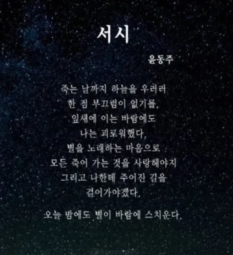 죽는 날까지 하늘을 우러러 한 점 부끄럼이 없기를 윤동주 시 세계_8