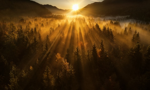 2026년 새해인사말 병오년 센스있는 문구 모음