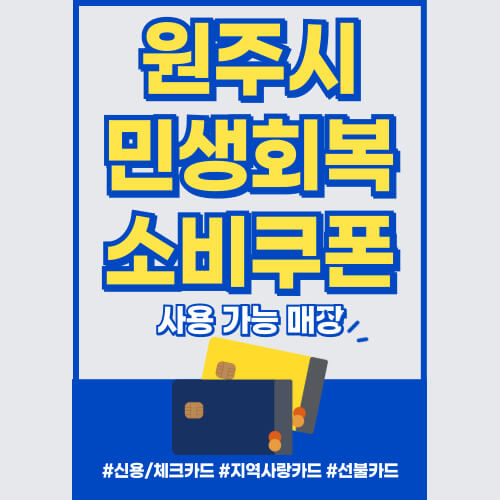 민생회복 소비쿠폰으로 어디서 쓸 수 있을까? 사용처 완벽 정리