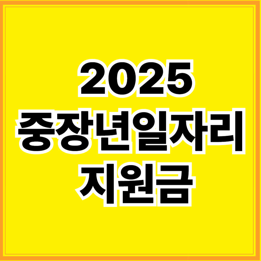 2025 중장년일자리 지원금