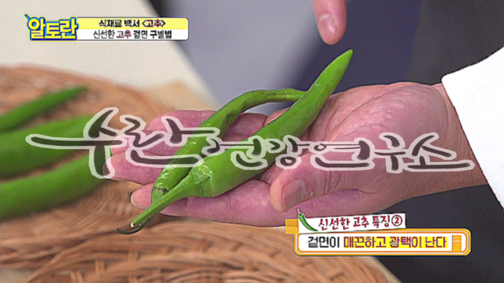 고추씨 활용법