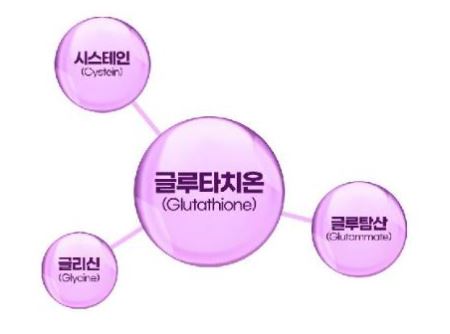 글루타치온-효능