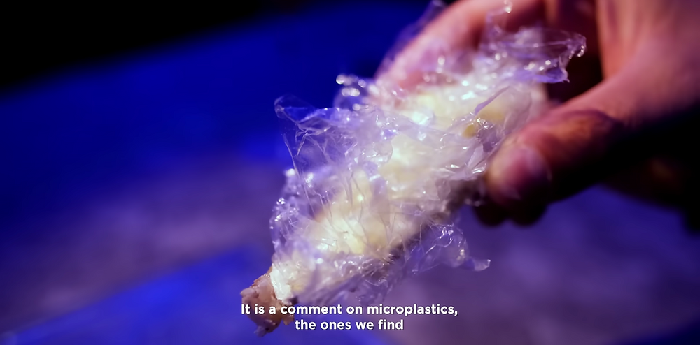 우리 먹이사슬의 미세 플라스틱: 과학이 말하는 것