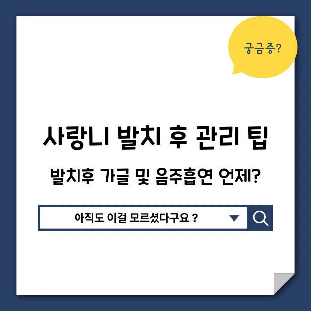 사랑니 발치