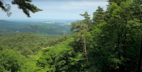대관령-자연휴양림