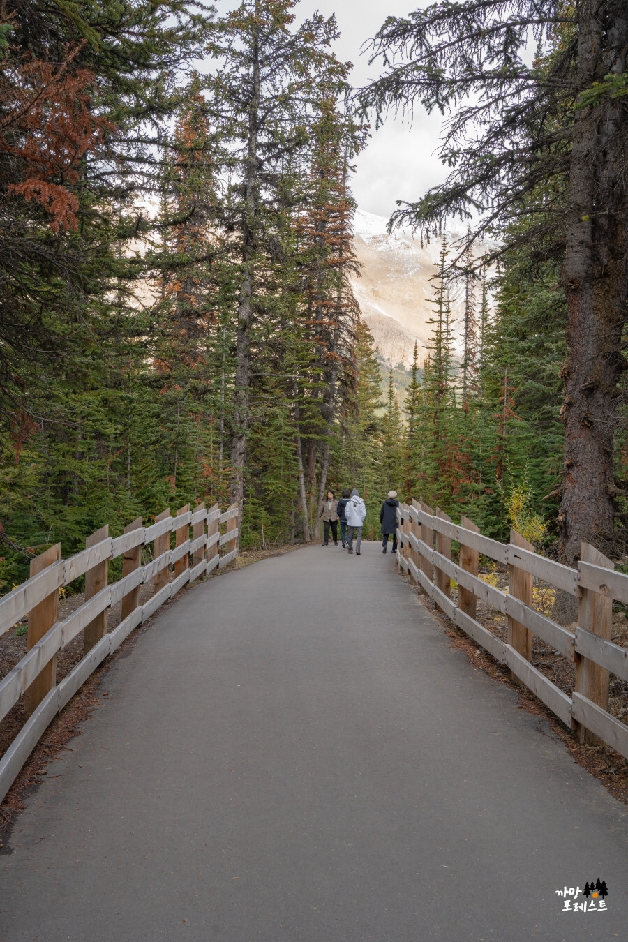 캐나다 페이토 레이크 탐방