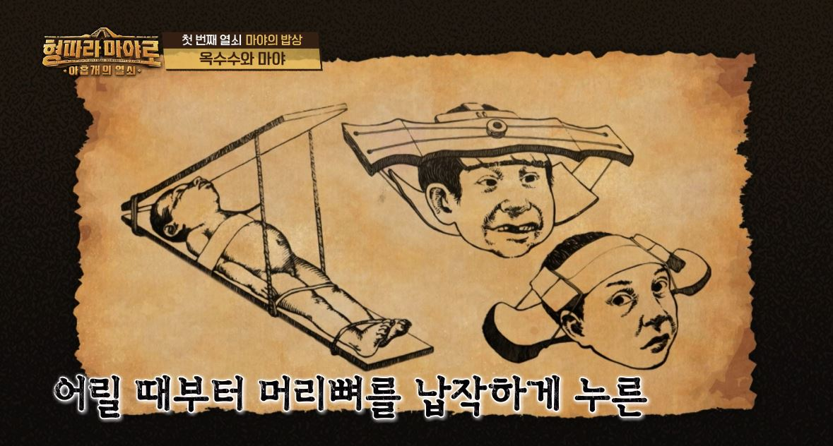 형따라 마야로