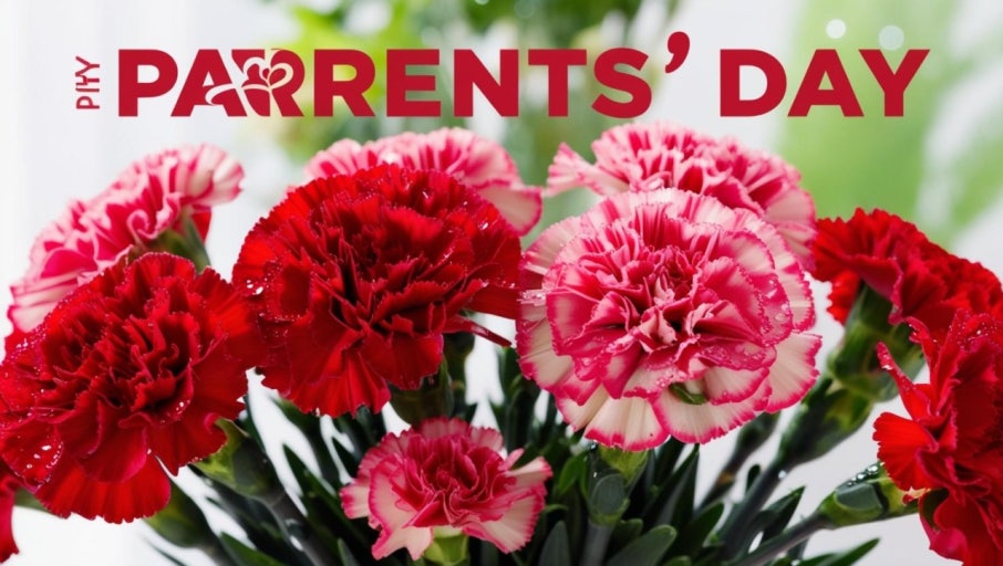 어버이날 카네이션 관련 사진