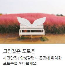 안성팜랜드 체험 목장