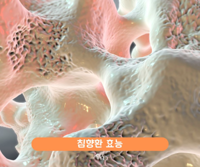 침향환 효능