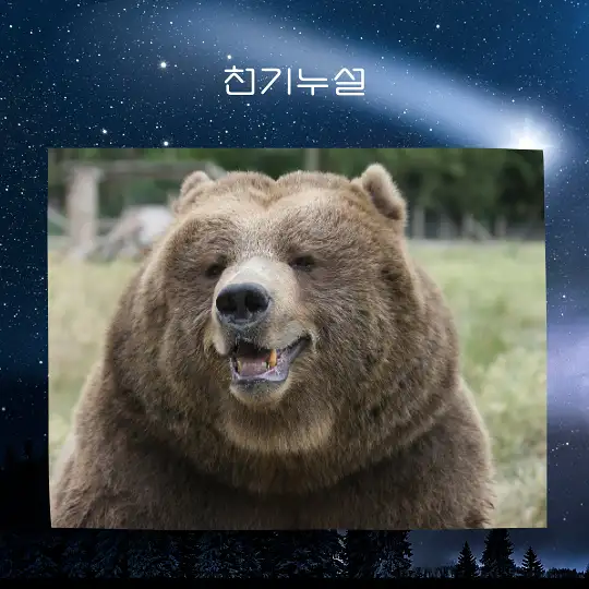 곰이 나오는 꿈 해몽