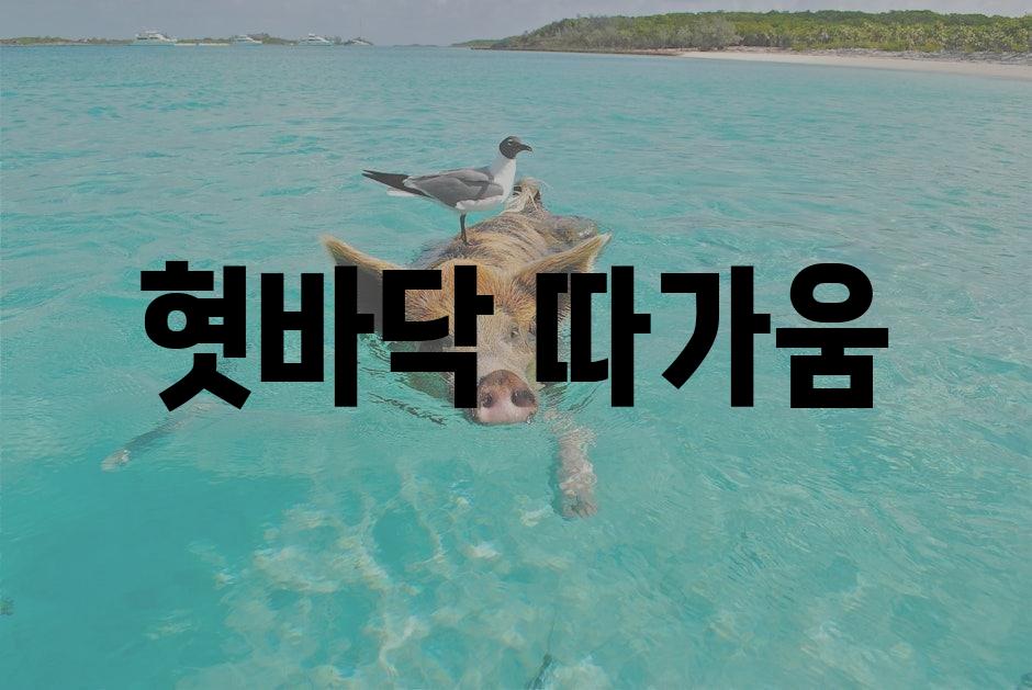 샘플 (1)