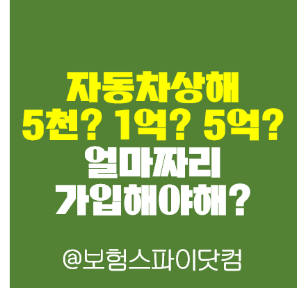 자동차상해 5천? 1억? 5억? 얼마짜리 가입해야해?