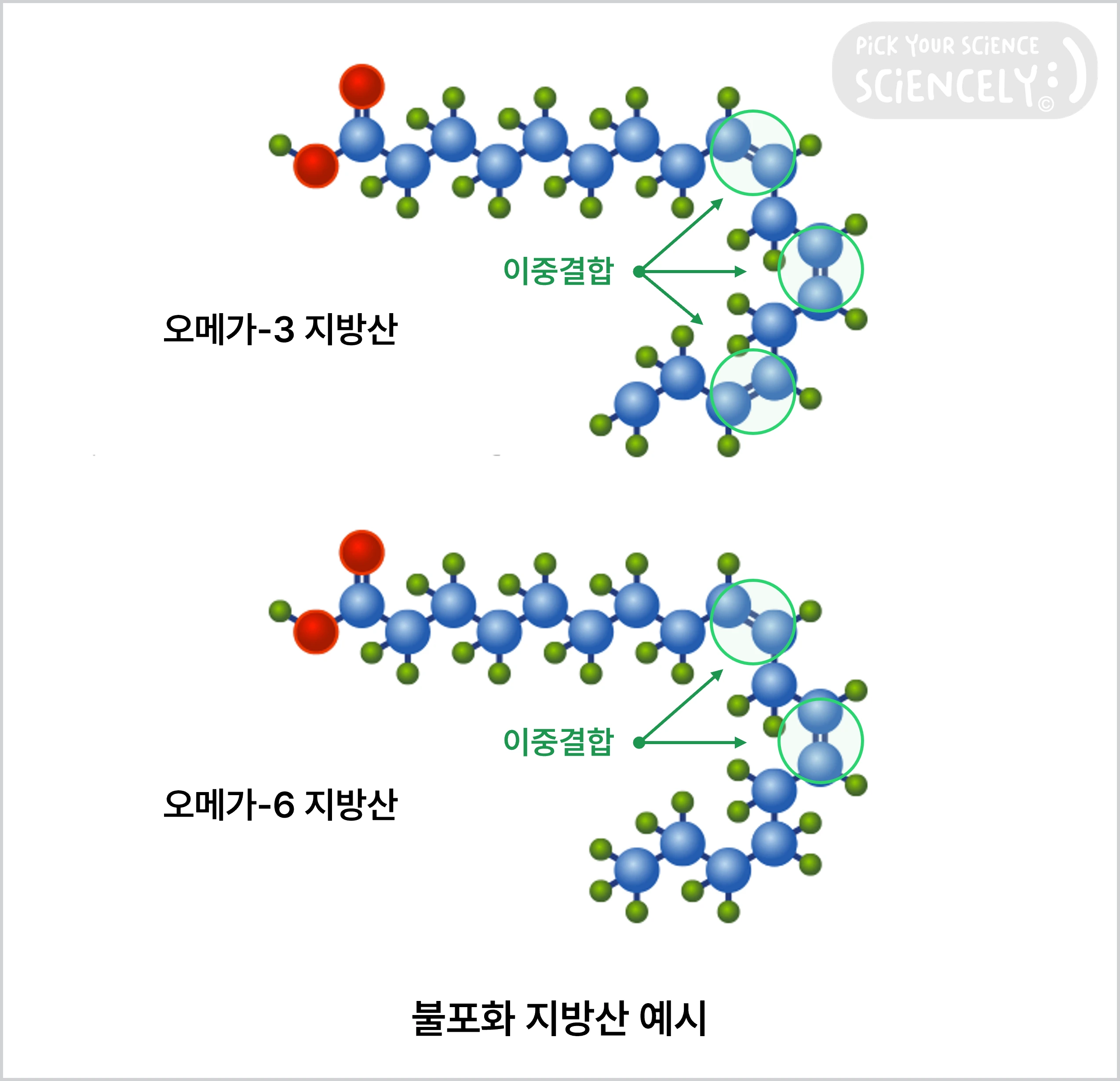 불포화 지방산, 불포화 지방산 예시, 오메가-3 지방산, 오메가-6 지방산