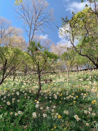 화담숲예약하기